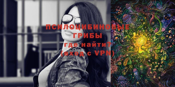 стаф Белокуриха