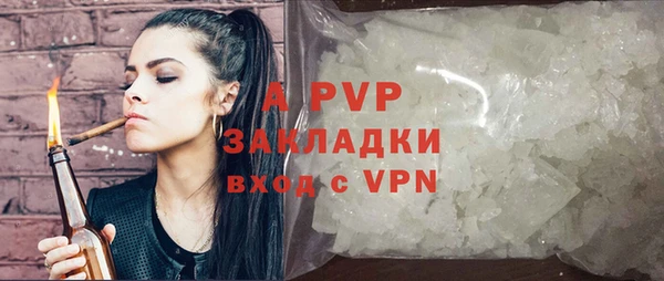 стаф Белокуриха