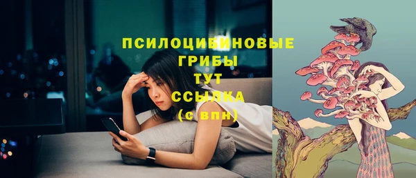 синтетический гашиш Кинешма