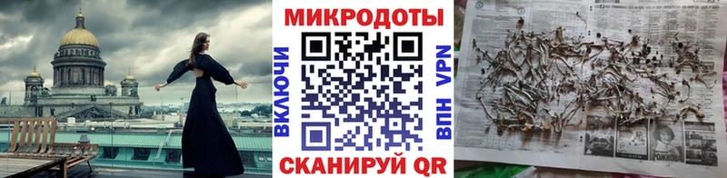 blacksprut ссылки  Вичуга  Галлюциногенные грибы MAGIC MUSHROOMS 